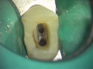 Dsc03554 u2laxy - Eugenol