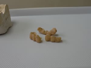 Dscf0457 2 muskjj - Eugenol