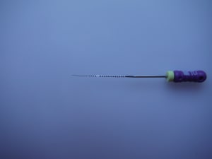 Dscf3089 godfrc - Eugenol