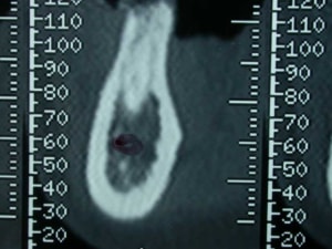 Dscn0390 copie ubaahk - Eugenol