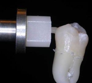 Dscn2460w2 lrg5is - Eugenol