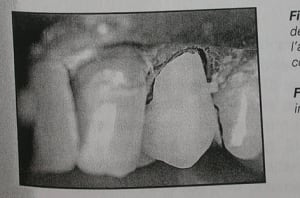 Dscn4667 p9kdqj - Eugenol
