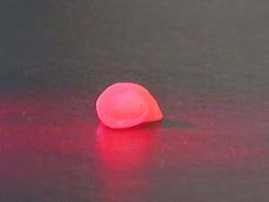 Dscn4983 y6ylkp - Eugenol