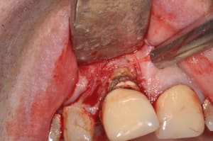 Dsc 0049 lzwzgd - Eugenol