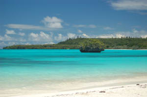 Dsc 0198 pbgxaq - Eugenol