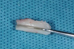 Dsc 0220 ikgvnf - Eugenol