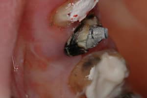Dsc 0359romdom syitcy - Eugenol