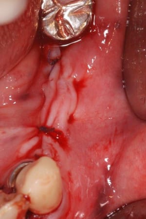 Dsc 0540 o6jo4s - Eugenol