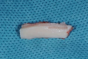 Dsc 0614 rq6eq3 - Eugenol