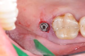 Dsc 2857 hknmf4 - Eugenol