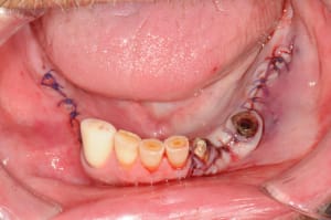 Dsc 5648 ggl754 - Eugenol