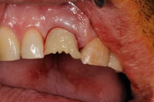 Dsc 5779 twyhqt - Eugenol