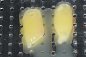 Dsc 8570 iyphhj - Eugenol