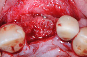 Dsc 9370 viqrja - Eugenol