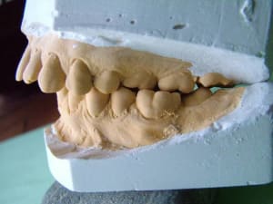 Dscf0959 ldmykw - Eugenol
