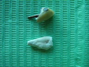 Dscf0986 e1pmlm - Eugenol