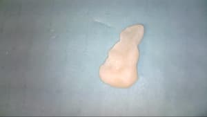 Endoscope 4 ldmo07 - Eugenol