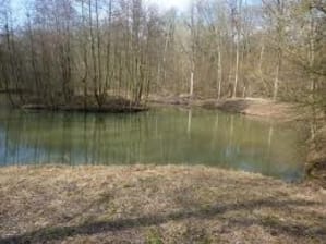 En haut de ma ville 2 entre deux averses busslt - Eugenol