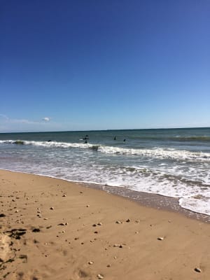 Img 1337 ile de ré eb8f3f - Eugenol