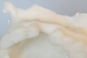 Imgp0014 ulysnn - Eugenol