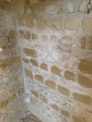 Img 0170 xnpla9 - Eugenol