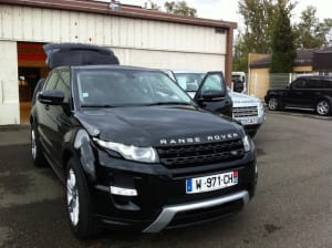 Img 0550 qmks2f - Eugenol