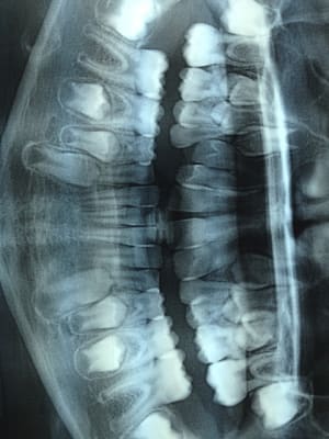 Img 1154   2014 08 01   13 53 33 dhhhle - Eugenol