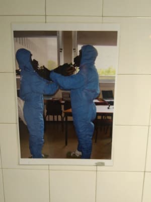 Img 20181122 083632 bu6bda - Eugenol