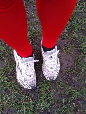 Img 20190126 155638 oml1wo - Eugenol