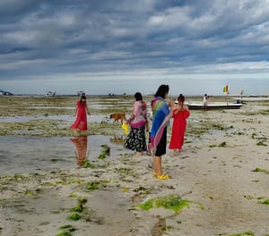 Img 20190902 200350 hkyvxr - Eugenol