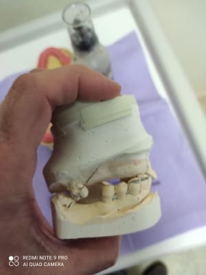 Img 20210126 173729 jstary - Eugenol