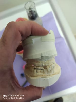 Img 20210126 173735 qvbxwn - Eugenol