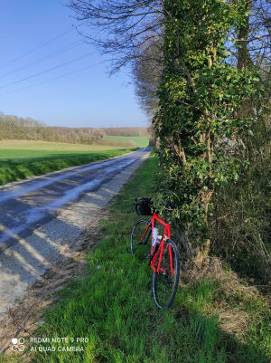 Img 20210404 101449 ccjcp7 - Eugenol