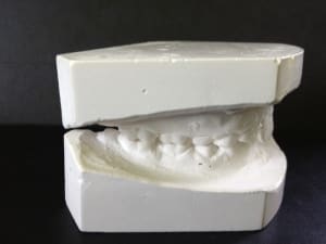 Img 2256 ywmua4 - Eugenol