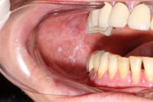 Img 2720 wxeeb2 - Eugenol