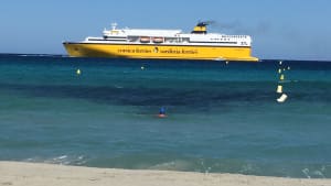 Img 3527 imoxys - Eugenol