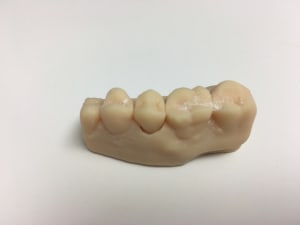 Img 3990 qif3ja - Eugenol