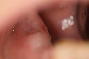 Img 4724 abn6yq - Eugenol