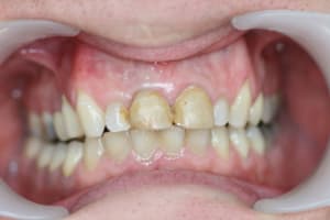 Img 4821 mbz3vm - Eugenol