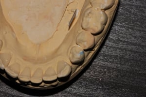 Img 5645 faqwjy - Eugenol