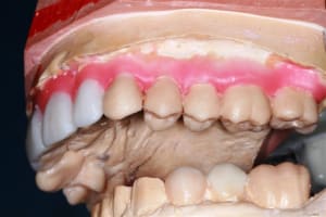 Img 7373 wlpu5o - Eugenol