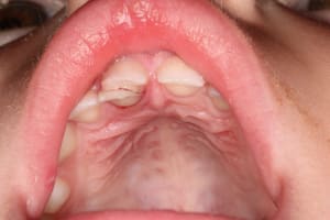 Img 7387  copier  d9k0dt - Eugenol