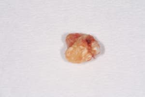 Img 7824 y9zbkj - Eugenol