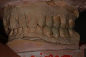 Img 8776 yjxckz - Eugenol