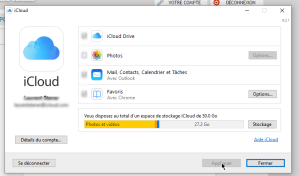 Icloud windows lrx5bm - Eugenol