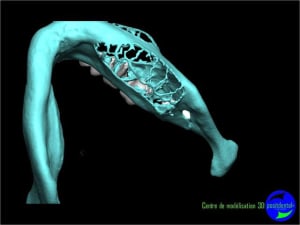 Image11 vmms1o - Eugenol