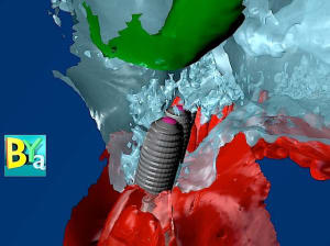 Image 2 z1oeen - Eugenol
