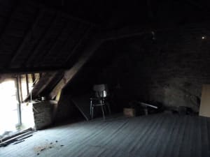 P1030271 sqmcio - Eugenol