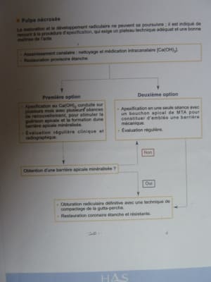P1030327 wukbj9 - Eugenol
