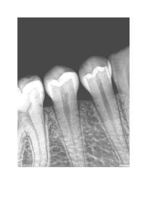 Pannetier jg8xel - Eugenol